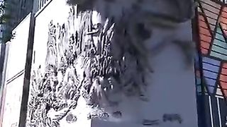 Dragon Animation