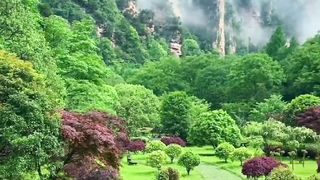 green garden