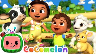 Baby Animal Dance | CoComelon Nursery Rhymes & Kids Songs