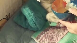 Найприкольніші відео тік току, tik tok comedi