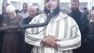 Cat | Cat loves to Sheikh Walid Mehsas during prayers at a mosque in Algeria | MrMarkhor01