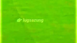 Shaheen Afridi Vs Pollard