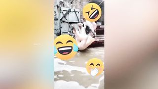 25 Funny Moments Of Pakistani People Part-3
