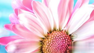 Relaxing Music for Stress Relief | Healing Meditation | Soothing Music for Relaxing |