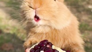 Robbat eating 2