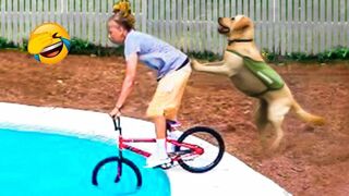Funny Animals That Will Make Your Day Full of Laughter ???? _ Pets Town 2.