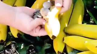 11 Brilliant gardening secret to make your plants bloom