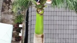 Something Going Wrong