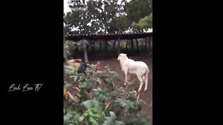 Funny Moments Of The Year Compilation 3