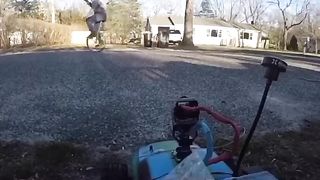 Rc car buys dog treats