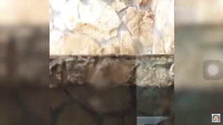 Funny fun 2