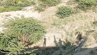 Shekhbadin neshnal park