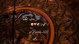 Masha Allah 14
