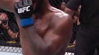 UFC knockouts from 2022