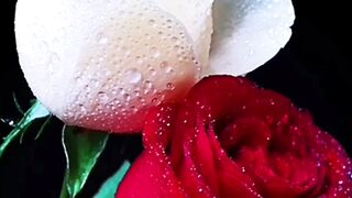 New flower