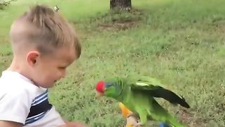 This parrot won't leave her favorite boy's side ????