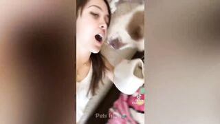 #Funnydogs #funnyanimals