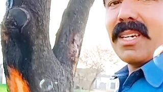 Danton ka Ilaj || Teeth Problems #viral #trending #shorts #ytshorts #youtubeshorts