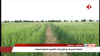 بوسالم - جندوبة : اعتماد تجربة ري الزراعات الكبرى قطرة قطرة