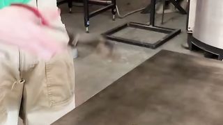 Ces souffleuses de verre ont une compétence incroyable