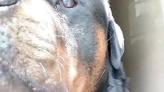 Nothing make me laugh more than this video ????????????