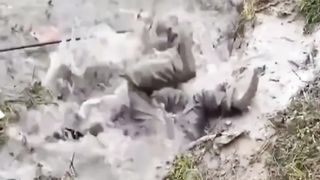 New Funny and Fail Videos 2023 ???? Funny Videos