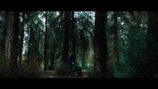 David Kushner - Daylight