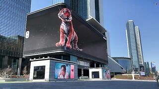 Tiger Animated Billboard