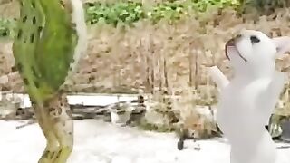 FROG DANCE PUSHTO MUSIC