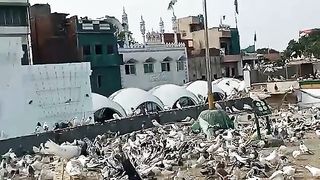 Dargah Ajmeer Shareef