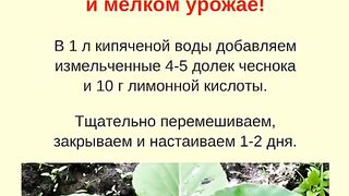 ГРАДИНСКИ  СЕКРЕТИ