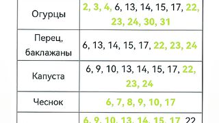 КОГА ДА САДИМ ПРЕЗ МАЙ?