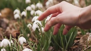 beautiful nature video 2