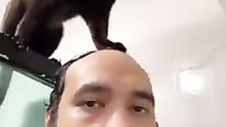 Funny animals,Funny animal videos,