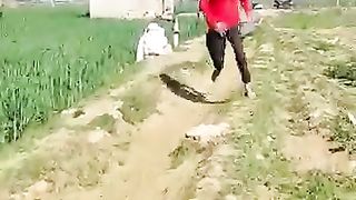 Anaconda 3