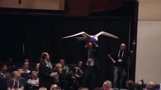 Robot bird