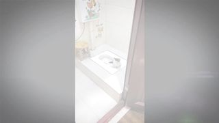 smart cat 2