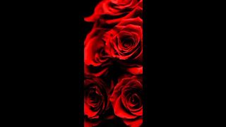Pyar ik phool ha
