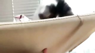 Funny snacks video