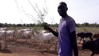Prêt à en découdre pour sauver son troupeau des voleurs
