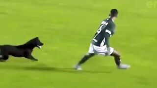 Funny football moments 2