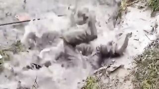 Новые Смешные и Неудачные Видео 2023 ????