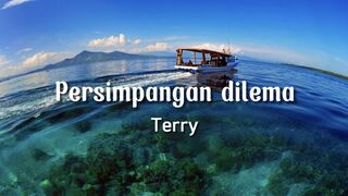 Persimpangan dilema - Terry ( cover )