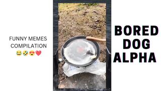 Funny Memes Compilation ????