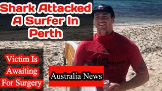 Shark attacked a surfer in Perth
