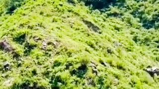 Arahe hai hansii????