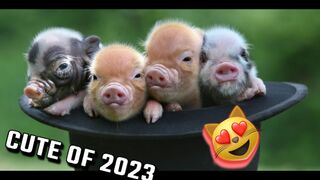 CUTE ANIMALS OF 2023????