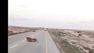 Dangerous accedent on raod