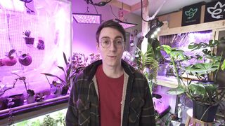 How To Grow A LEMON TREE From A SEED 06 MONTHS UPDATES