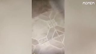 Compilation des moments les plus drôles de l'année! 3